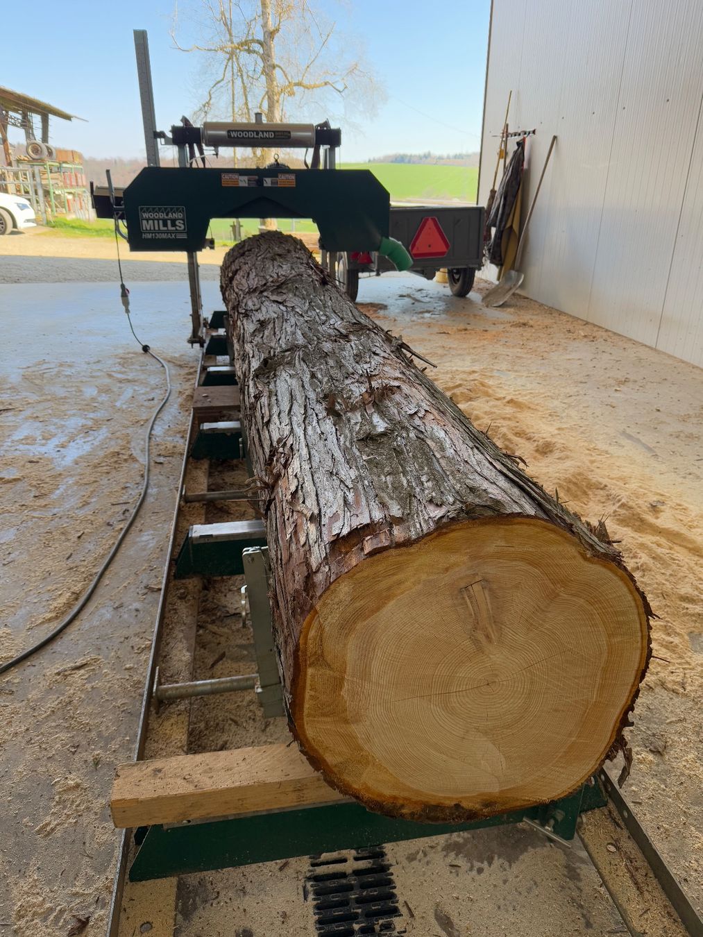 Articoli in legno: Thuja Bretter ganzer Stamm – Usato da Holziken venduto da Timbergrizzly 4
