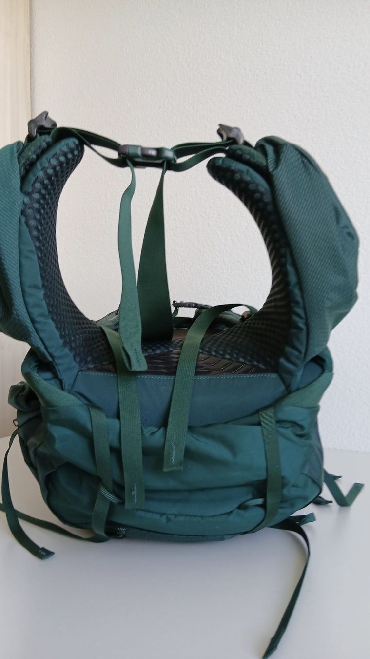 Gregory Zaini: Gregory Deva 60 Damen-Trekkingrucksack   Emerald Green Gr. S – Usato da Emmenbrücke venduto da gra_7ndc 4