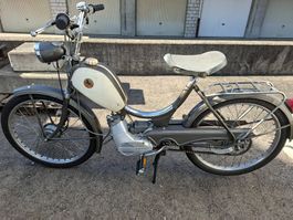 Pony Junior 502