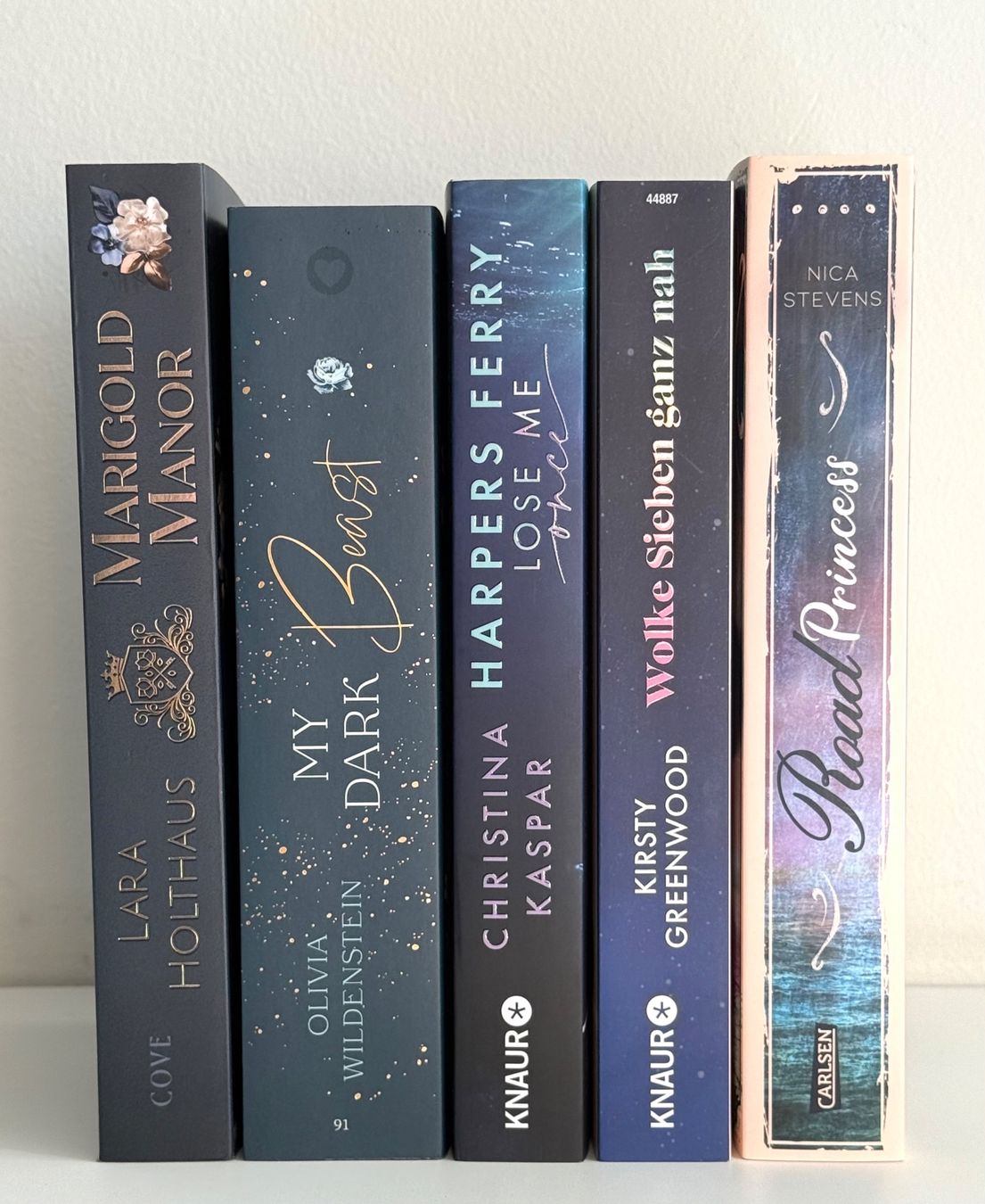 Bücher: 5 Romane / Bücherset dunkelblau/ div. Autoren – Gebraucht aus Eichberg von Lolapop18
