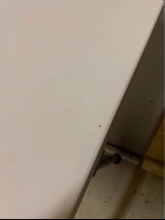 Scrivanie: 2x Bürotisch/Schreibtisch 160x80 identisch – Usato da Stetten AG venduto da Sirius_28 4