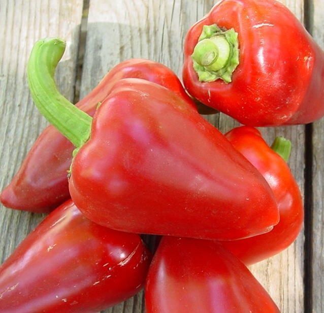 Piante & sementi: 30 Samen PIMENTO SWEET Paprika Süss – Nuovo (secondo la descrizione) da Ehrendingen venduto da VerveinaSamen 4