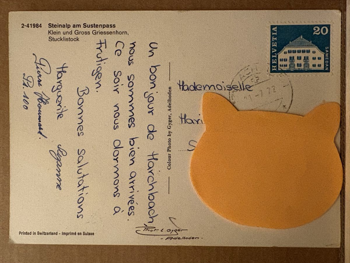 Cartoline postali: AK von Steinalp am Sustenpass – Usato da Rümlang venduto da Kartenpost1 1