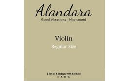 Saiten f. Geige, Violine, Violon 4/4 - 7/8 Quality (1x4)