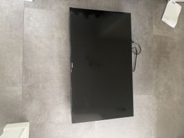 Polaroid 32” LED HD TV – Neu & unbenutzt – mit Zubehör