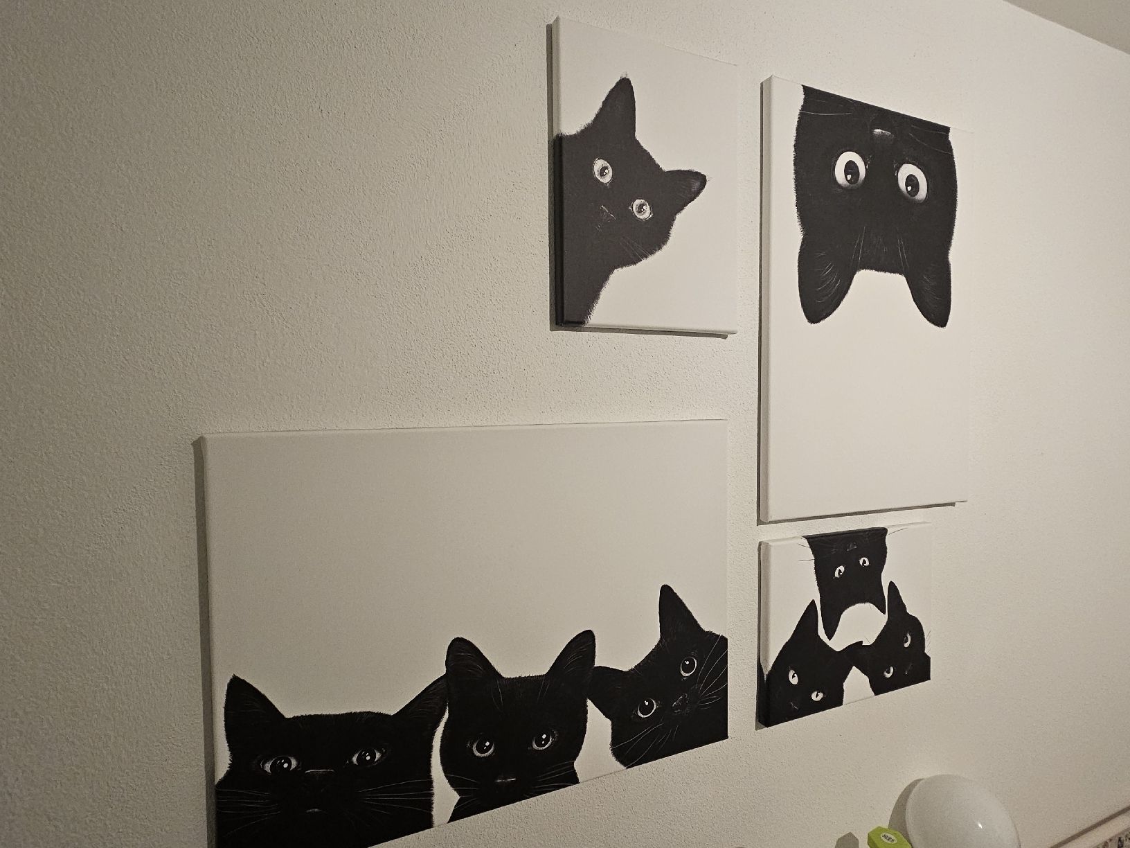 Foto & Immagini: Katzenbilder-Set, Leinwand auf Holzrahmen – Usato da Mönchaltorf venduto da Virus79 1