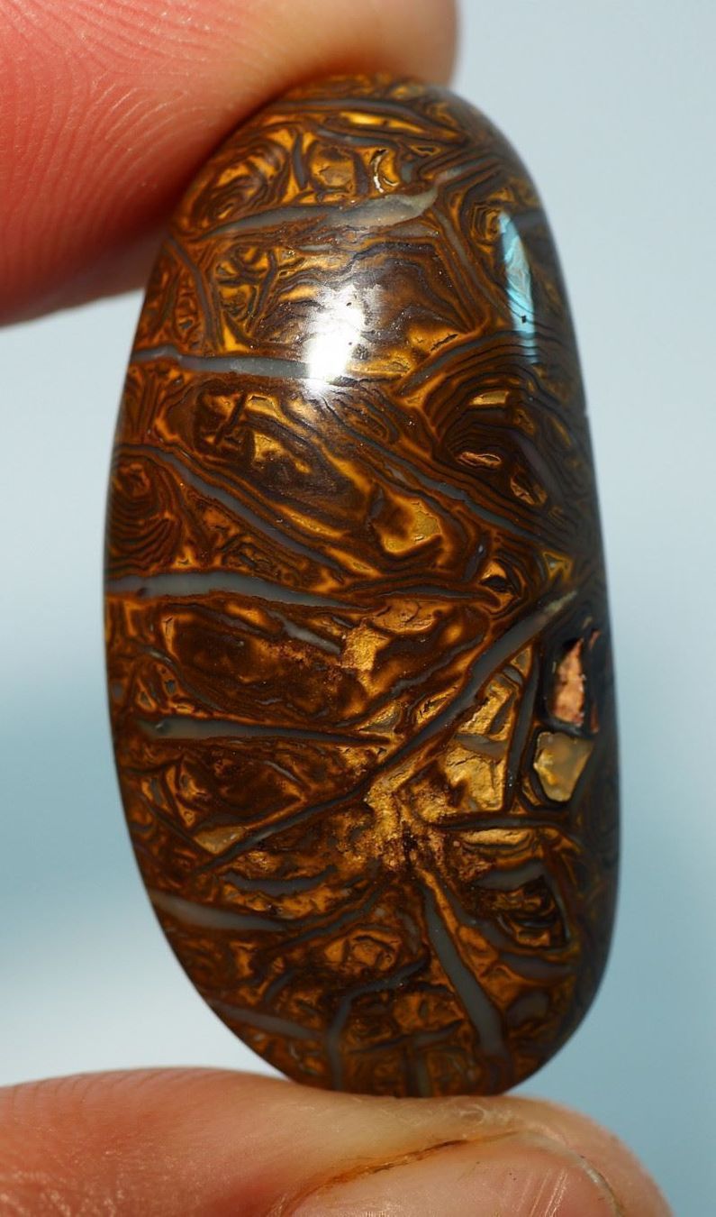 Pierres précieuses: Australischer Boulder Opal 35.35Cts. – Neuf (Voir description) à Bern par Grindelwaldaus