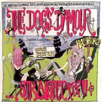 The dogs d'amour - Straight