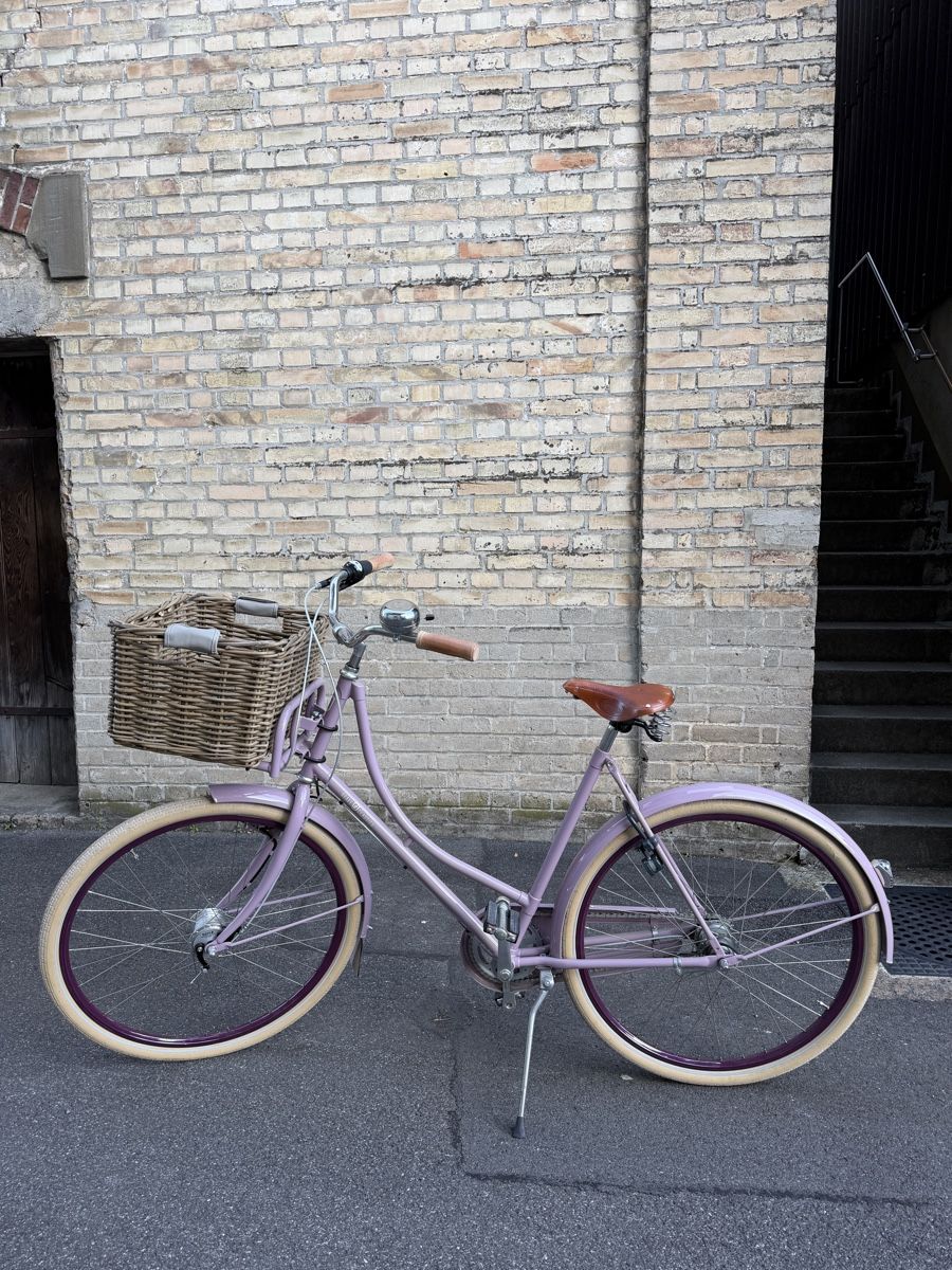 Biciclette: Velo mit Korb im Vintage-Look  – Usato da Brunnen venduto da Eldra