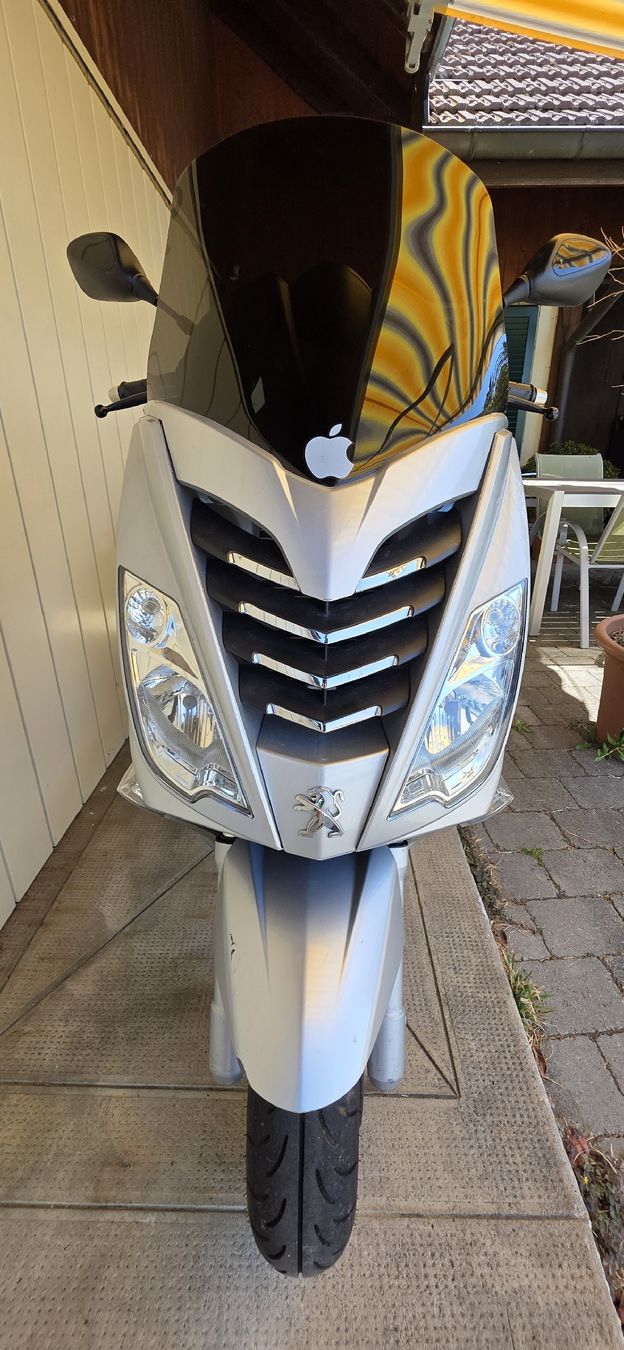 Peugeot Scooter: Peugeot Citystar 125 Roller – Usato da Ersigen venduto da comats