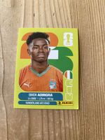 Panini CIV 17