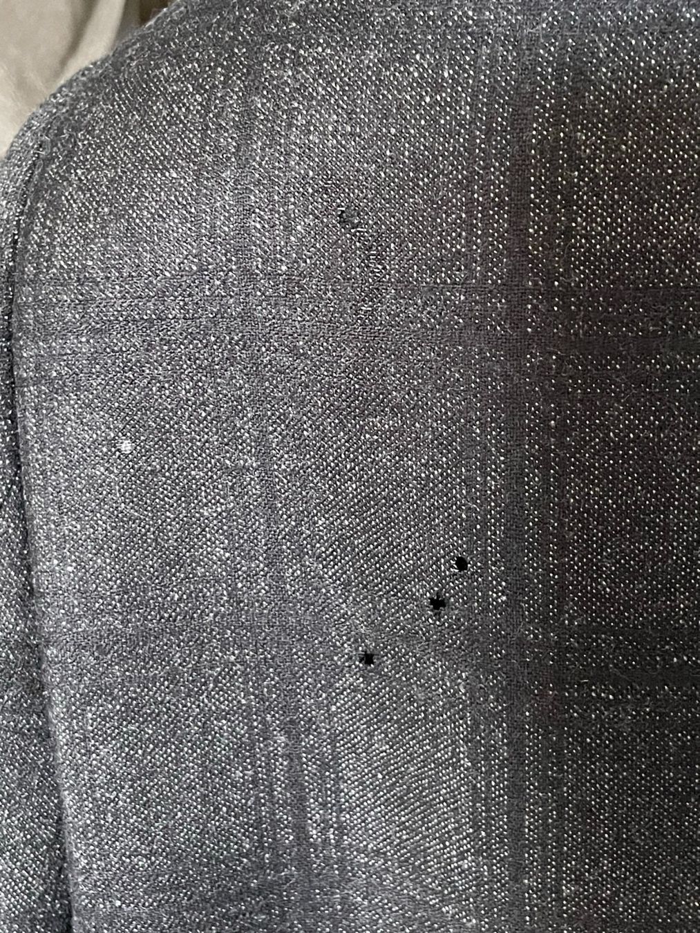 Giacche: Father & Sons Veste – Usato da Genève venduto da sha_rrt5 4