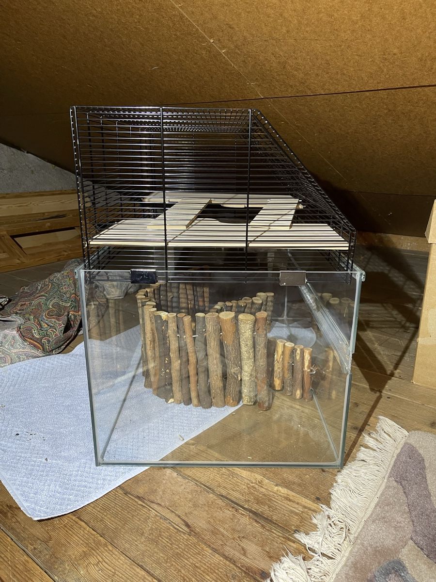 Gabbie, trasporto & Sicurezza: Hamsterkäfig mit Zubehör – Usato da Zürich venduto da linus8910 1