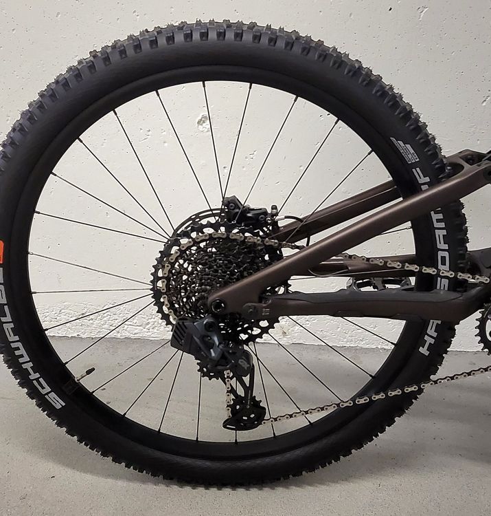 Specialized Stumpjumper Evo Customized Gr. L 6