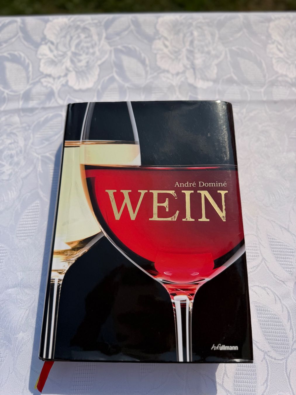 Livres: Grosse Buch "Wein" top zustand – D'occasion à Cugnasco par tizianaq
