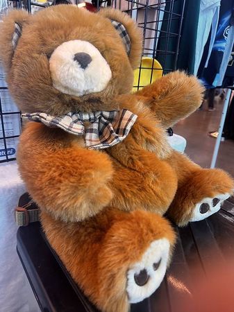 Kuscheliger Teddybär Rucksack - Begleiter für den Winter!