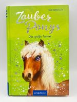 📖 Zauberponys Das grosse Turnier