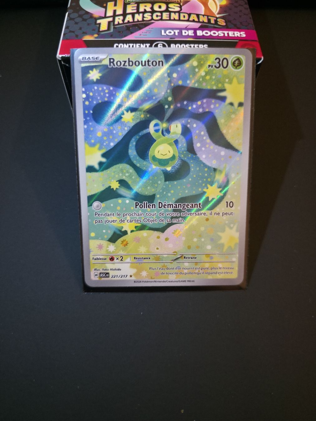 Pokémon Carte collezionabili: Rozbouton AR Asc 221 – Nuovo (secondo la descrizione) da Le Lignon venduto da Nathium