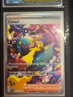 Canary (ASC 291) -  Canari - EN