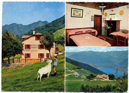 RITROVO DI NEGGIA Ristorante, Ziege