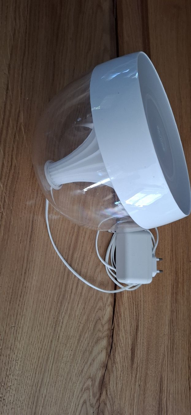 Philips Lampes: Philips Hue Iris – D'occasion à Guntershausen par Jtattoo 3