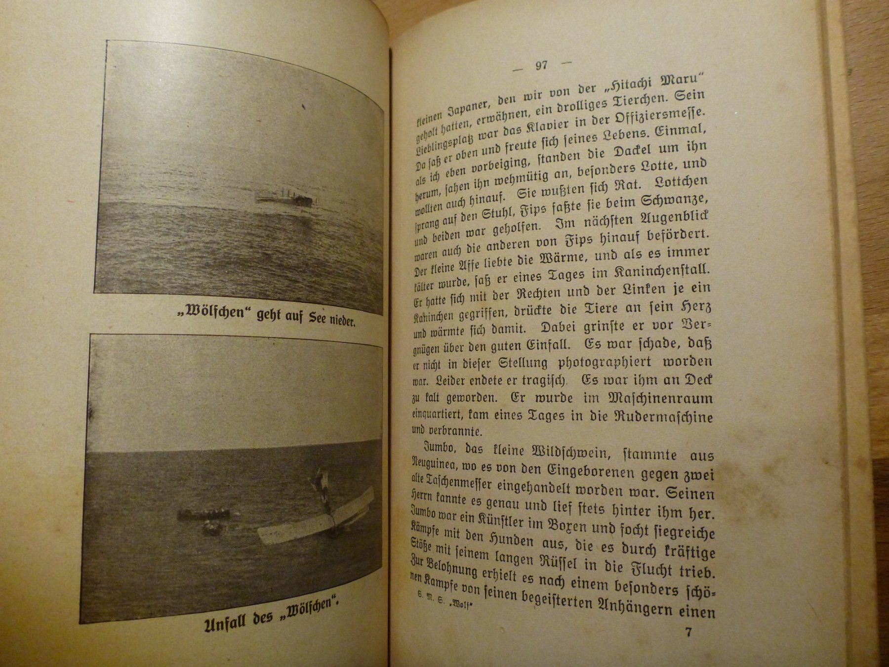 Bücher: SMS WOLF – Gebraucht aus Eschen von Nerger1918 3