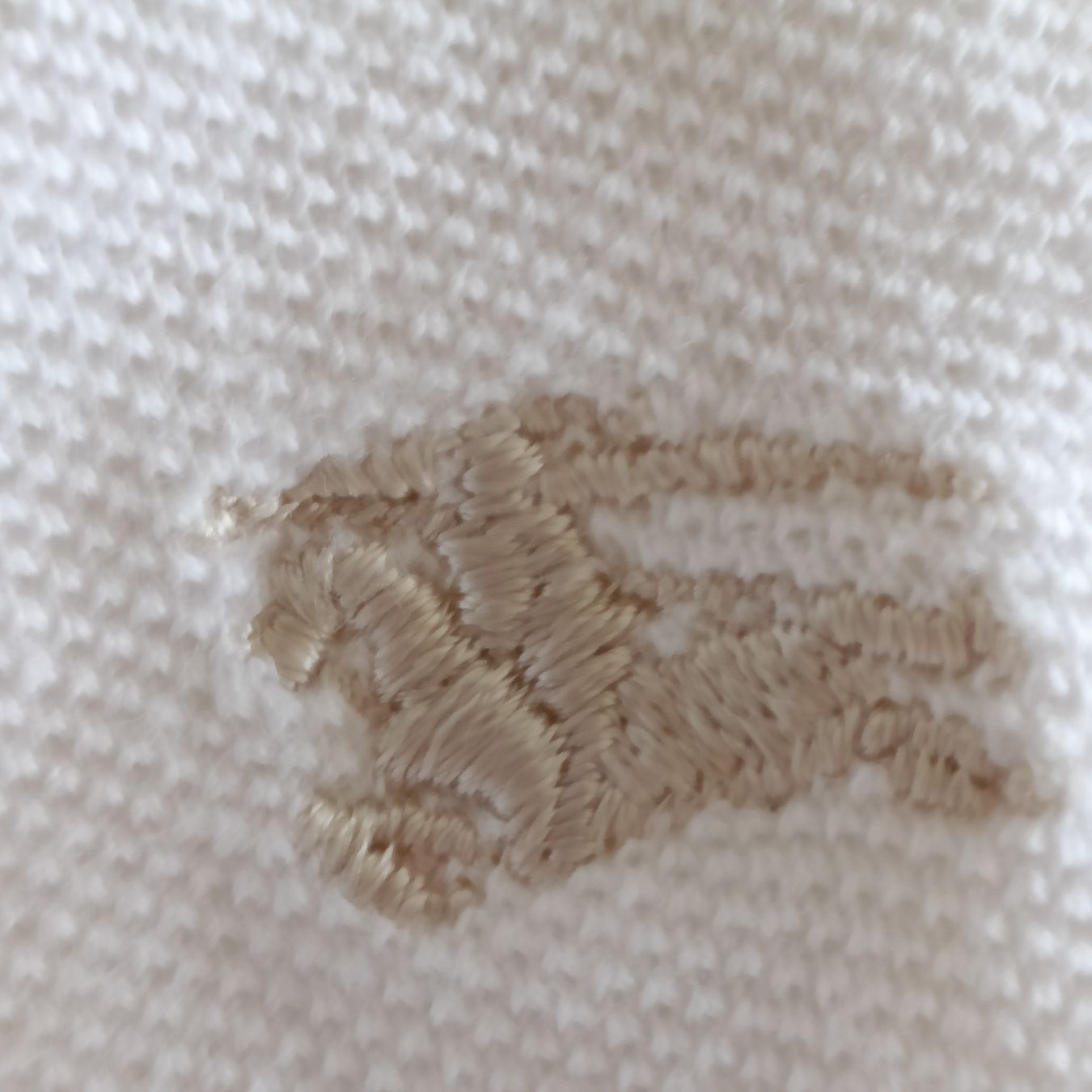 Burberry Magliette Polo: polo  Burberry taglia media – Usato da Lugano venduto da ycd_rv8h 1