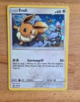Evoli (SM235)