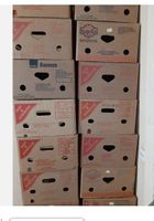 Bananaschachtel - Umzugsbox 