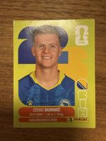 Panini Fifa BIH 14
