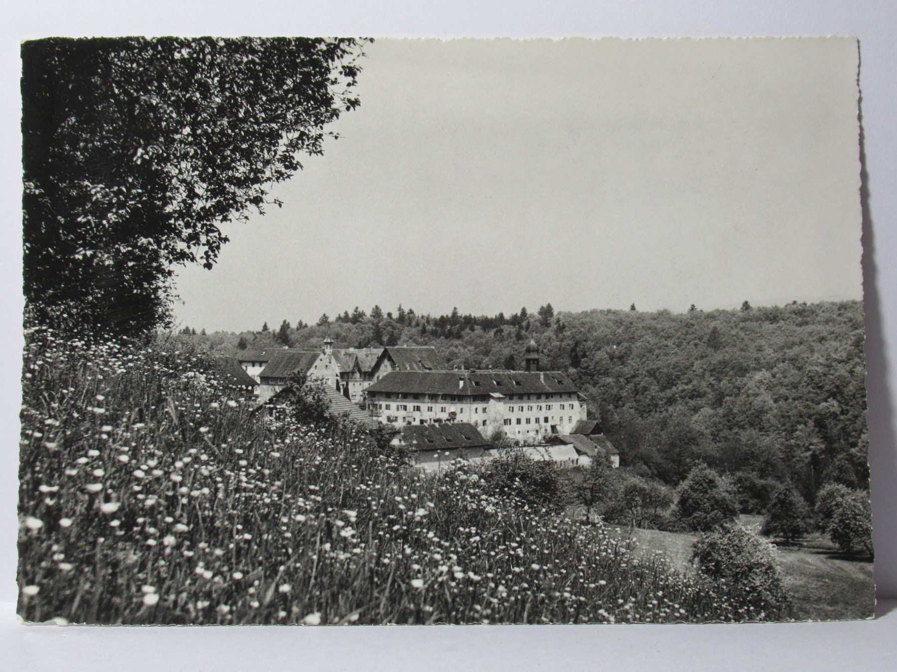 Ansichtskarten: Kloster Hermetschwil - AG – Neu (gemäss Beschreibung) aus Grenchen von Bluemchen1900 1