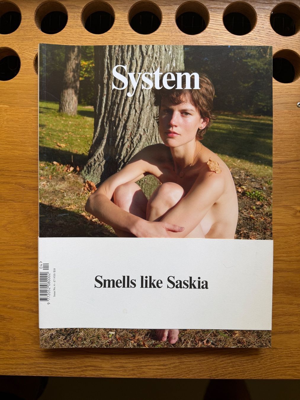Riviste & Magazine: System - Smells like Saskia, 2014 – Usato da Bern venduto da ElevenFive