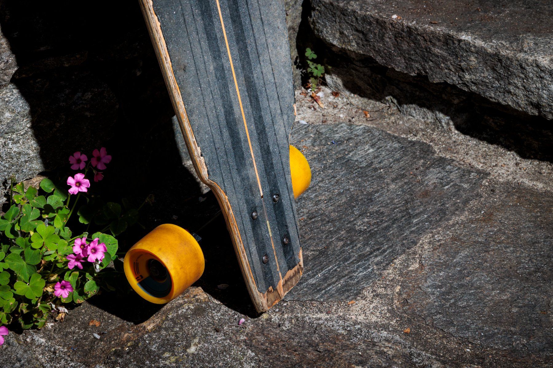 Globe Skateboards: Longboard GLOBE Downhill – Usato da Vevey venduto da jac_nqh5 2