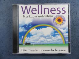 WELLNESS CD MUSIK ZUM WOHLFÜHLEN ENTSPANNEN