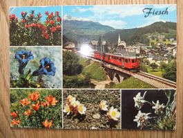 Mehrbildkarte Fiesch und Furka Oberalp Bahn 13.7.1978