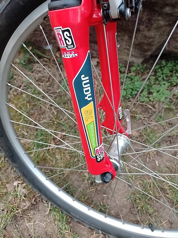 Biciclette: Steppenwolf Tycoon Carbon Fully Mountainbike – Usato da Zürich venduto da vag1981 3