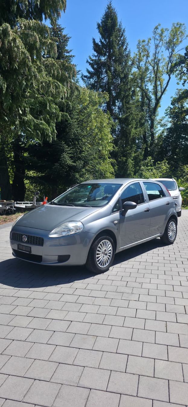 Fiat Automobili: Fiat Punto 1.4 8V – Usato da Steinach venduto da man_t8wr 1