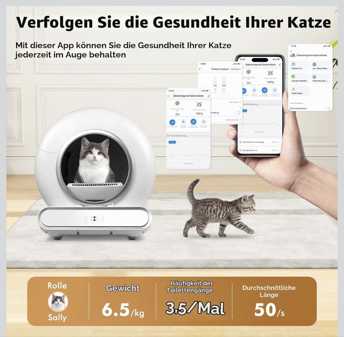 Gattaiole: Selbstreinigende Katzentoilette – Usato da Eschlikon TG venduto da little.dove 2