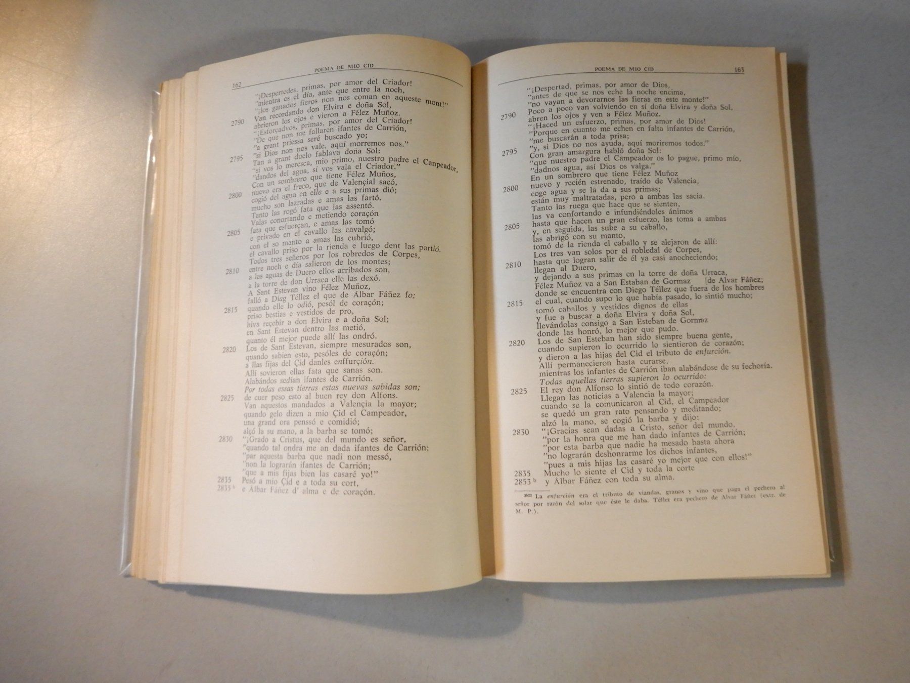 Libri: "Poema de Mio Cid" - 5. Auflage - Spanisch – Usato da Erstfeld venduto da Mario_boe0 7