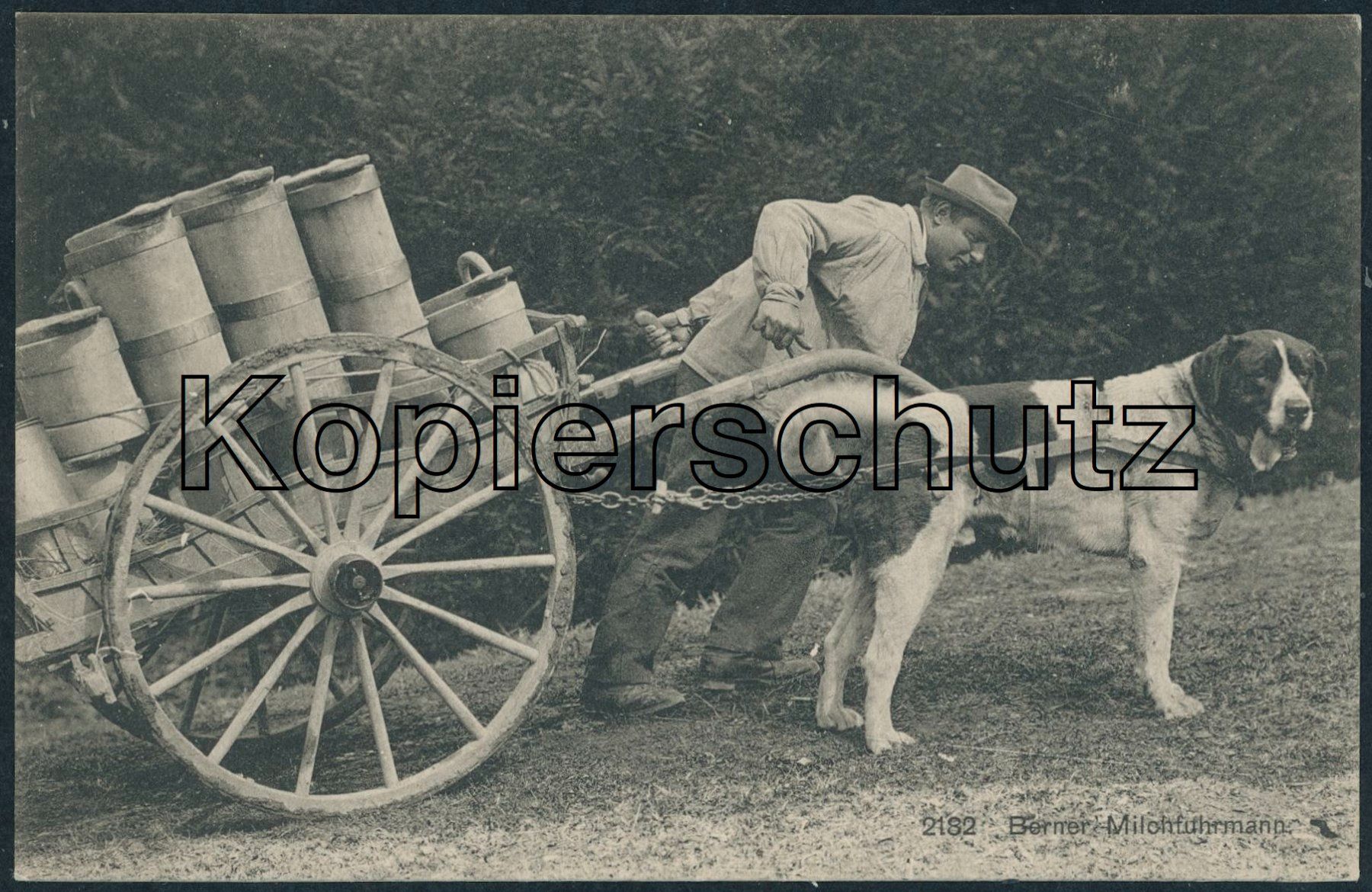 Ansichtskarten: BES Bern - Milchmann - Berufe - Landwirtschaft – Neu (gemäss Beschreibung) aus Schindellegi von Jonathan77