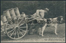 BES Bern - Milchmann - Berufe - Landwirtschaft