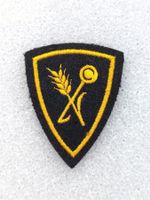 Truppenkoch / Küchenchef Ord. 1995 V3