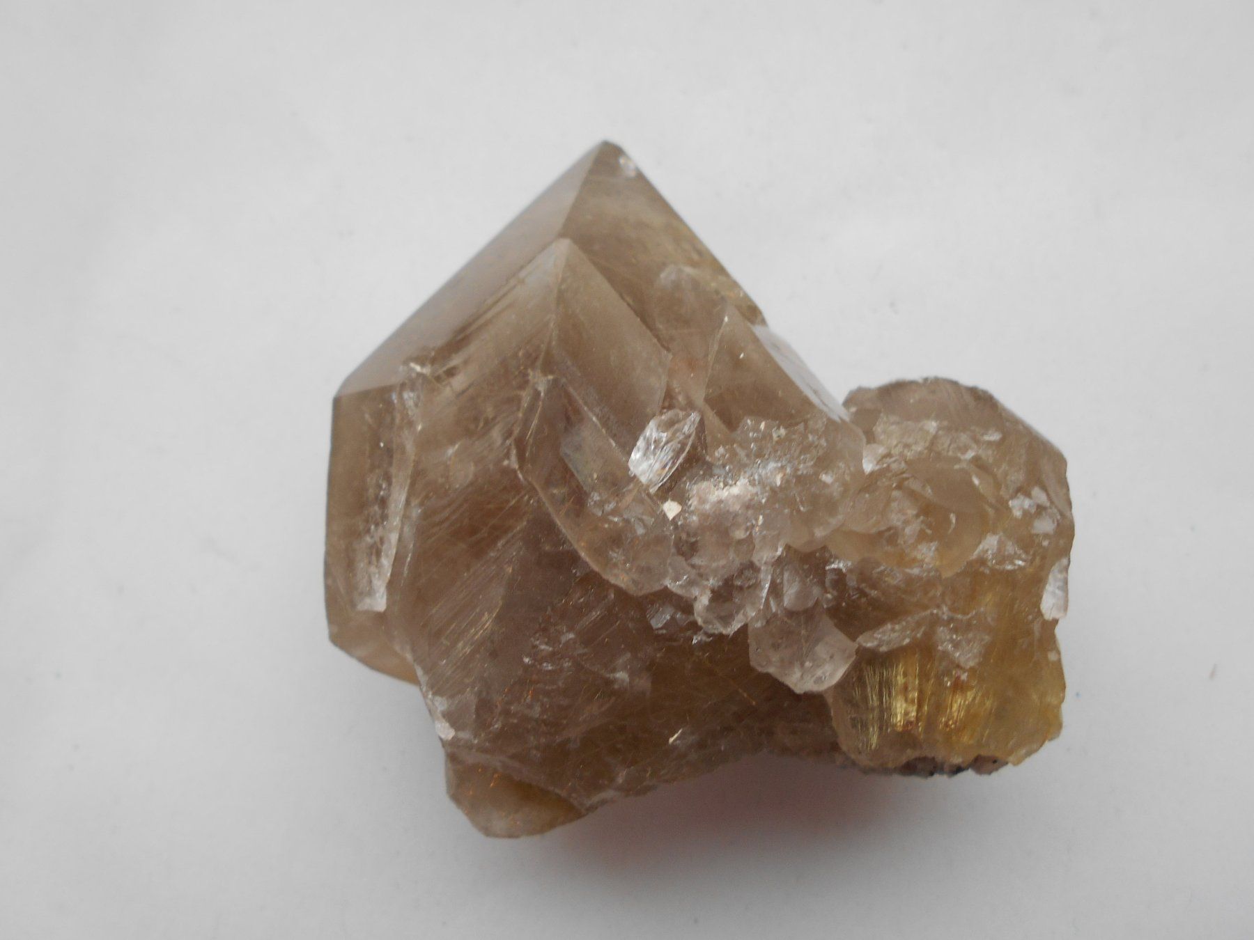 Minerali & Pietre curative: Rauchquarz mit Goldrutil Einschluss, Brasilien – Nuovo (secondo la descrizione) da Zürich venduto da swisscristal01 1