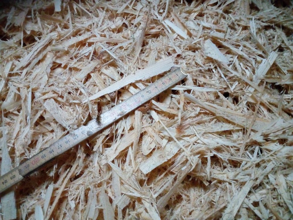 Holzspäne, Holzschnitzel (Tannenholz) Kaufen auf Ricardo