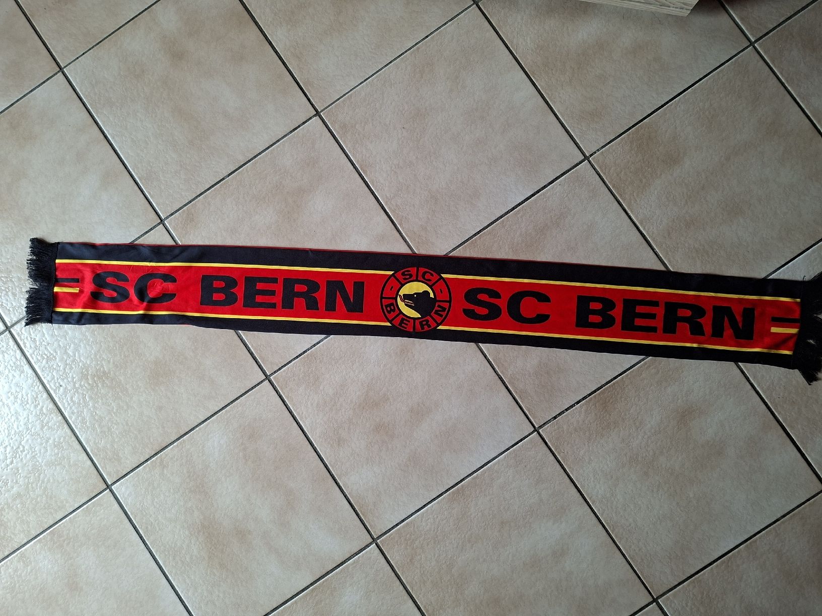 Foulard & Sciarpe: SC Bern Fanschal – Usato da Schwanden Sigrisw venduto da len_9yqg 1