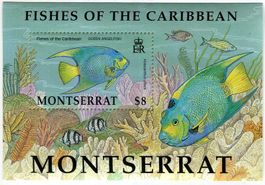 Block "Fische". Montserrat.