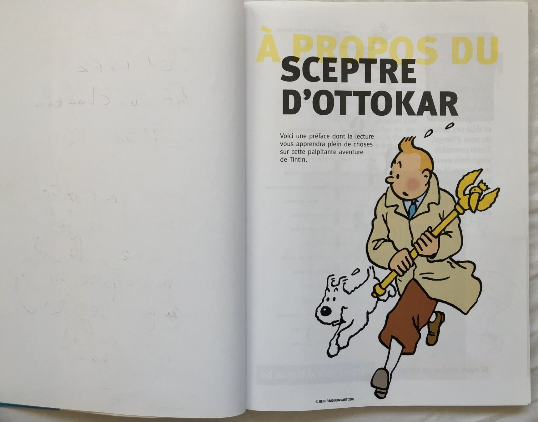 Fumetti: TINTIN + préface - LE SCEPTRE D'OTTOKAR – Usato da Schaffhausen venduto da durruti 2