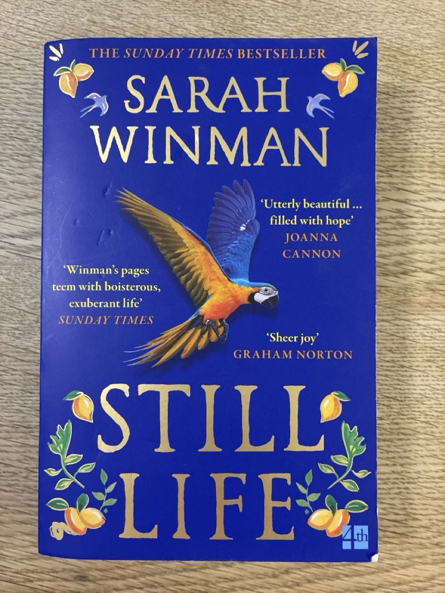 Libri: Still Life - a novel by Sarah Winman – Usato da Lucens venduto da metaD
