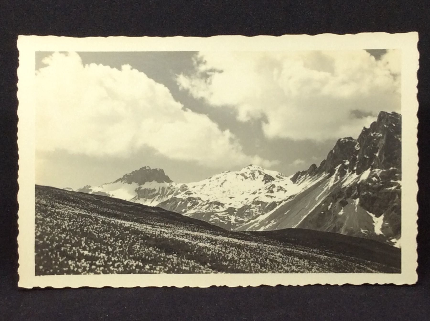 Cartes postales: St. Moritz – D'occasion à Widnau par Brusi9