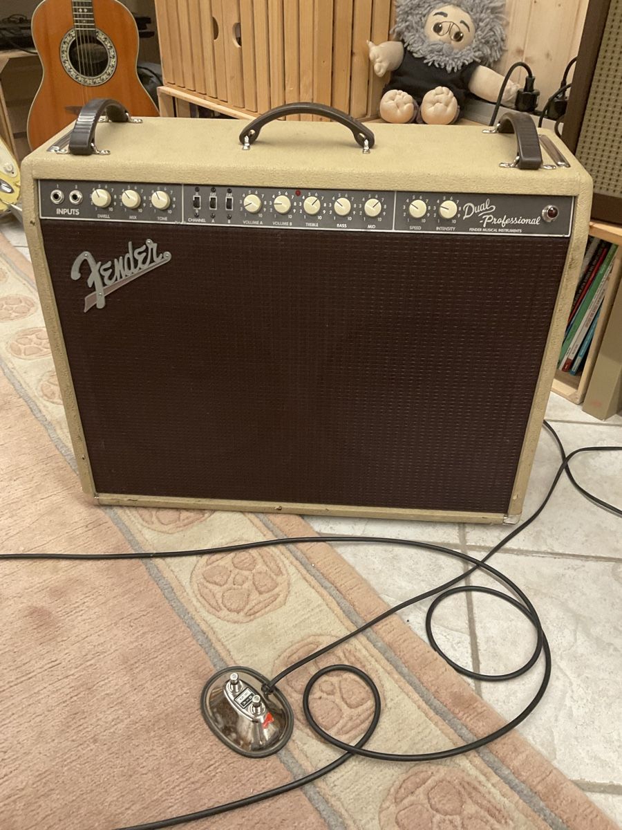 Fender Amplificatori: Fender Dual Professional Verstärker mit Footswitch, 90er J – Usato da Tschierv venduto da Screamingwolfguitars